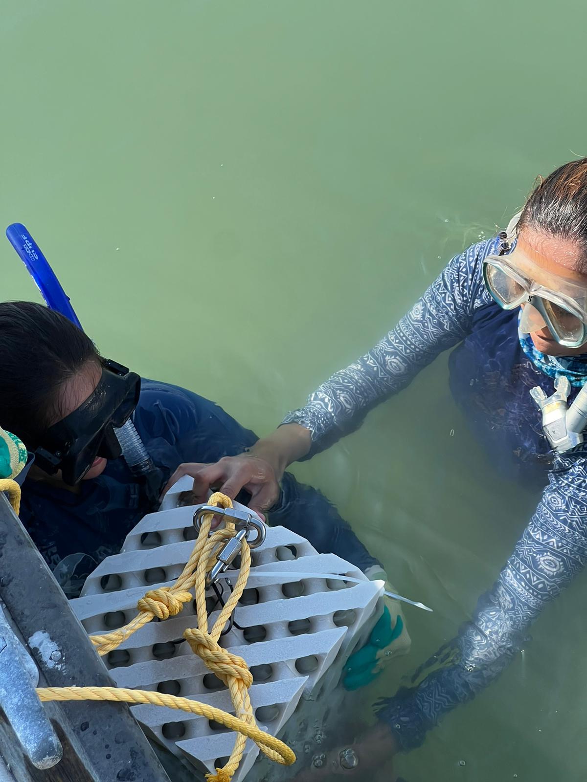 PHOTO 2024 08 08 11 11 45 5