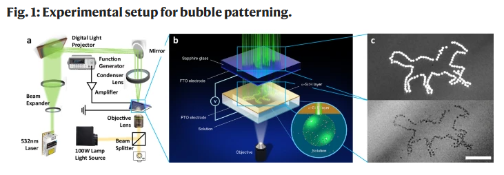 Screenshot 2025 09 17 110312