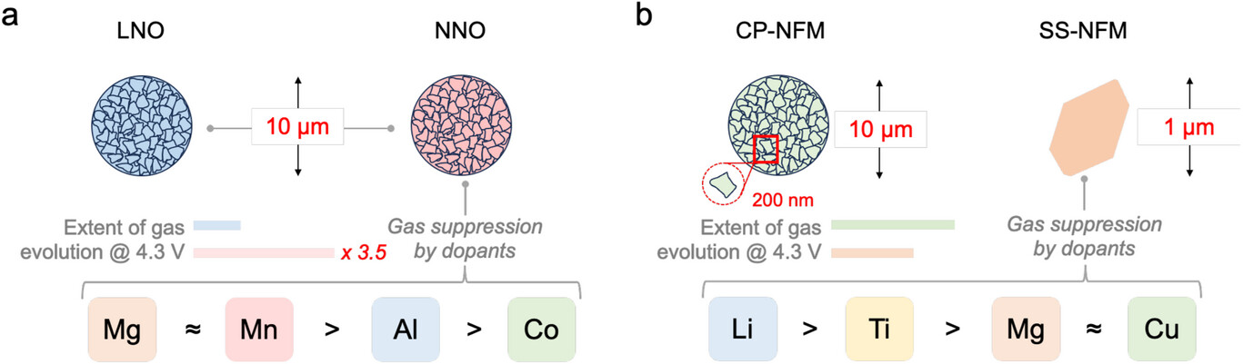 aenm70427 fig 0006 m